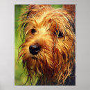 Search for adorable posters Cute