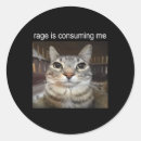 Search for silly cat stickers Kitten