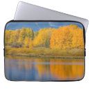 Search for bending electronics Reflection