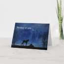 Search for horse breeding cards Thoroughbred