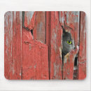 Search for tom mouse mats Feline