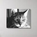 Search for bengal canvas prints Portrait