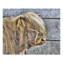 Search for bovines posters Animals