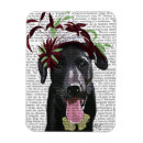 Search for fascination magnets Animals