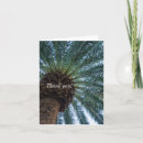 Search for palm trees cards Nature