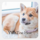 Search for dog photos stickers Create your own