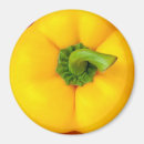 Search for bell pepper magnets Yellow