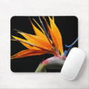 Search for orange birds mouse mats Floral