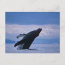 Search for energetic postcards Blue