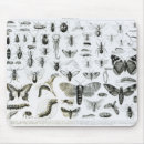Search for entomology mouse mats Bugs