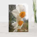 Search for easter thank you cards Flowers