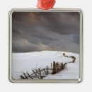 Search for fences christmas tree decorations Agriculture