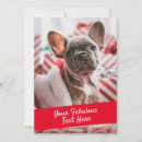 Search for puppies note cards Create your own
