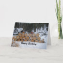 Search for pile birthday cards Happy