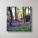 Search for bluebell canvas prints Landscape