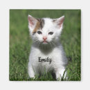 Search for kittens magnets Tabby