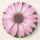 Search for african daisy coasters Blossom