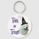 Search for samoyed accessories Animals