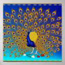 Search for strut posters Peafowl