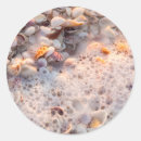 Search for beach resort stickers Coast