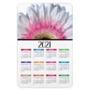 Search for gerbera magnets Floral