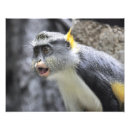 Search for congo art Tropical