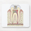 Search for doctor offices electronics Healthcare and medicine