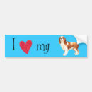 Search for cavaliers bumper stickers Cavalier king charles spaniel