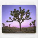 Search for joshua tree mouse mats Landscape