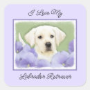 Search for labrador retriever dog stickers Cute