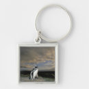 Search for patagonia key rings Nature