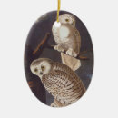 Search for snowy white owl christmas tree decorations Nature