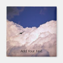 Search for military magnets Aircraft