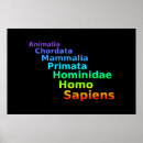 Search for homo posters Human