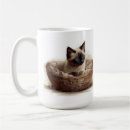 Search for basket coffee mugs Beautiful