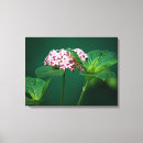 Search for star shaped art Flower