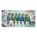 Search for budgie posters Cute