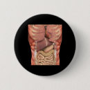 Search for human anatomy badges Skull