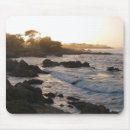 Search for pacific mouse mats California