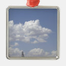 Search for osprey christmas tree decorations Cv 22