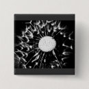 Search for dandelion badges Flower