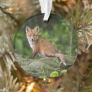 Search for pup christmas tree decorations Animals in the wild