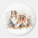 Search for shelti magnets Collie