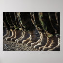 Search for corp posters Afghanistan