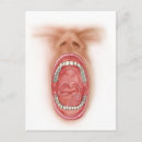 Search for cavity postcards Anatomy