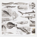 Search for zoology stickers Biology