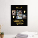 Search for memorial cats posters Pets