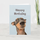 Search for funny old man birthday cards Humour