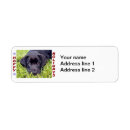 Search for black labs return address labels Puppy