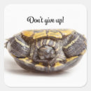 Search for upside down stickers Animal